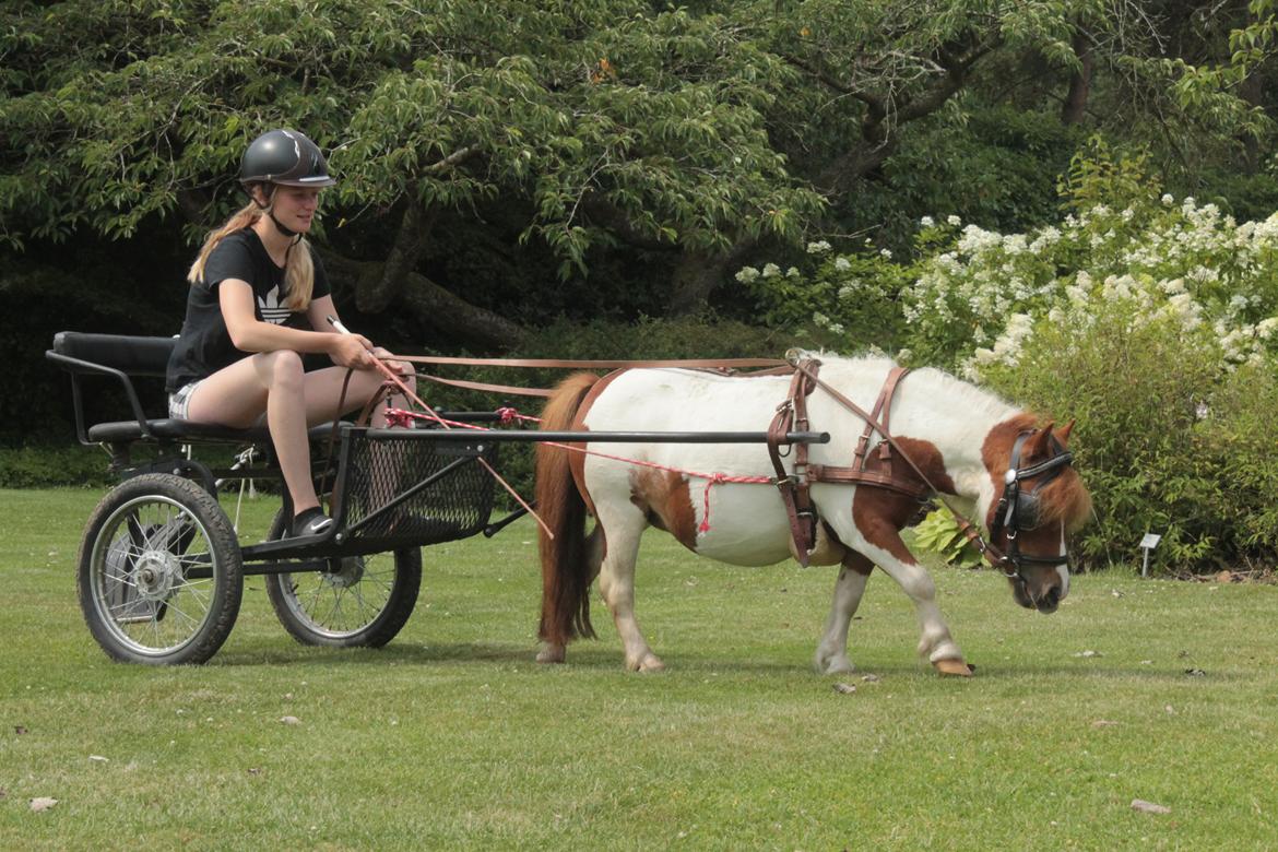 Miniature Bella billede 20