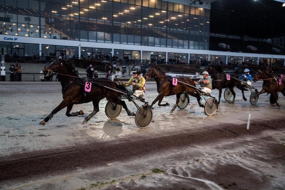 Traver Treasure Me K G billede 22