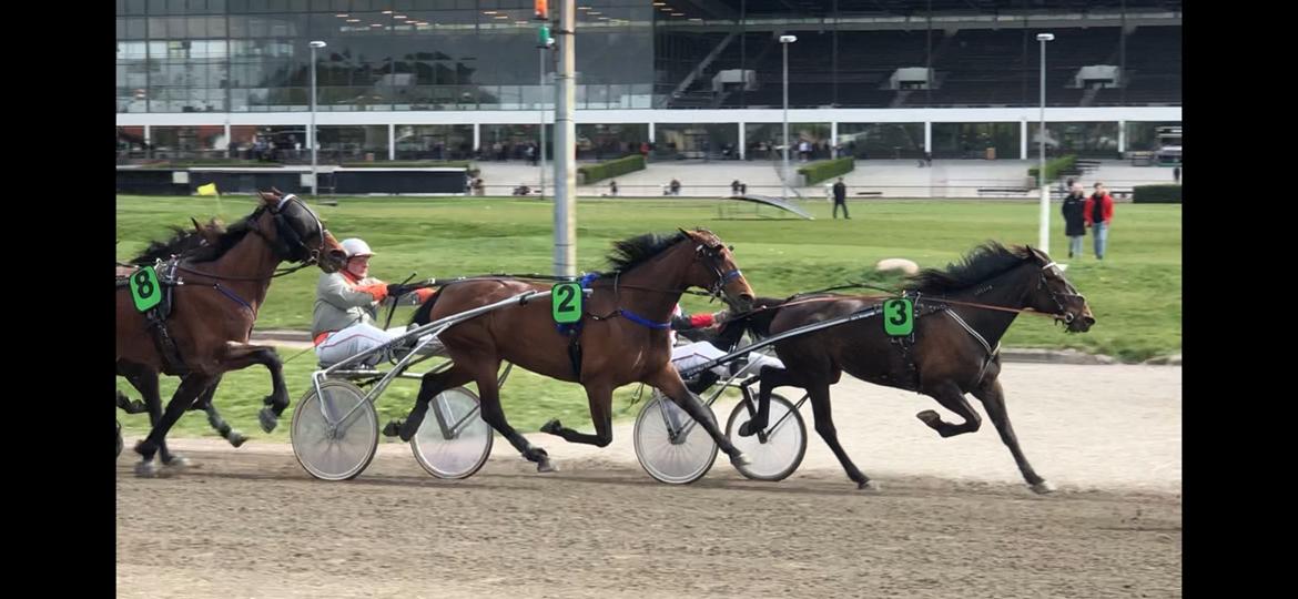 Traver Treasure Me K G billede 23