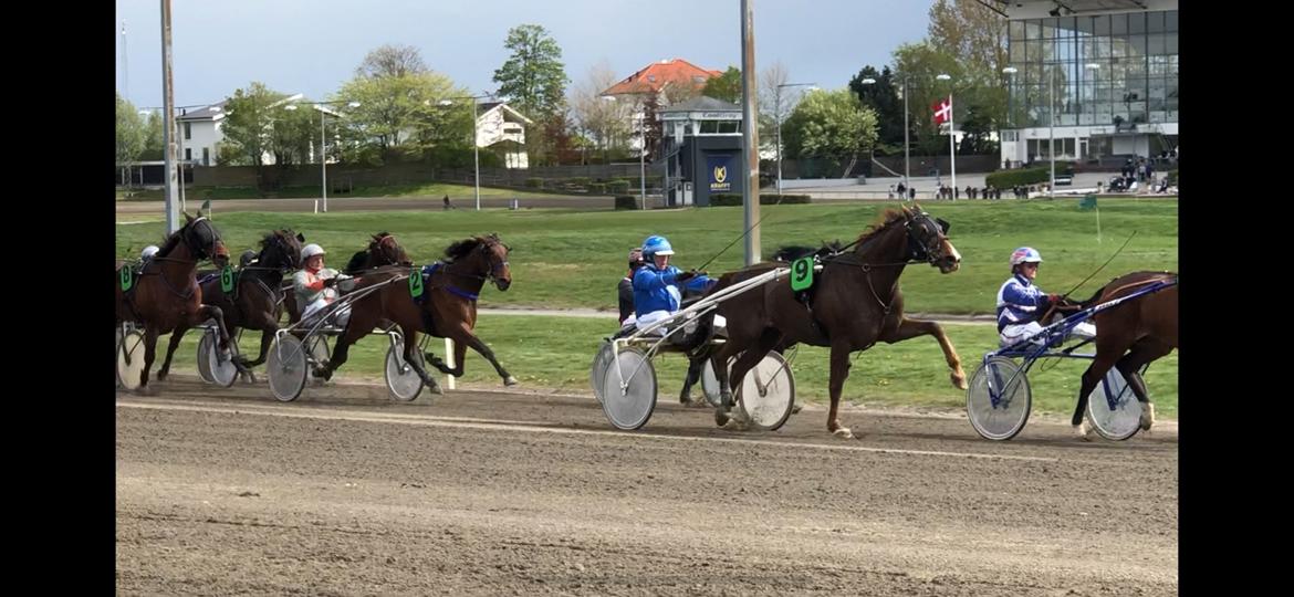 Traver Treasure Me K G billede 24