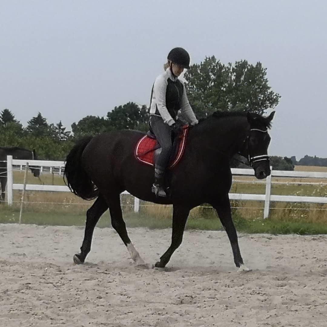 Anden særlig race wanilia billede 7