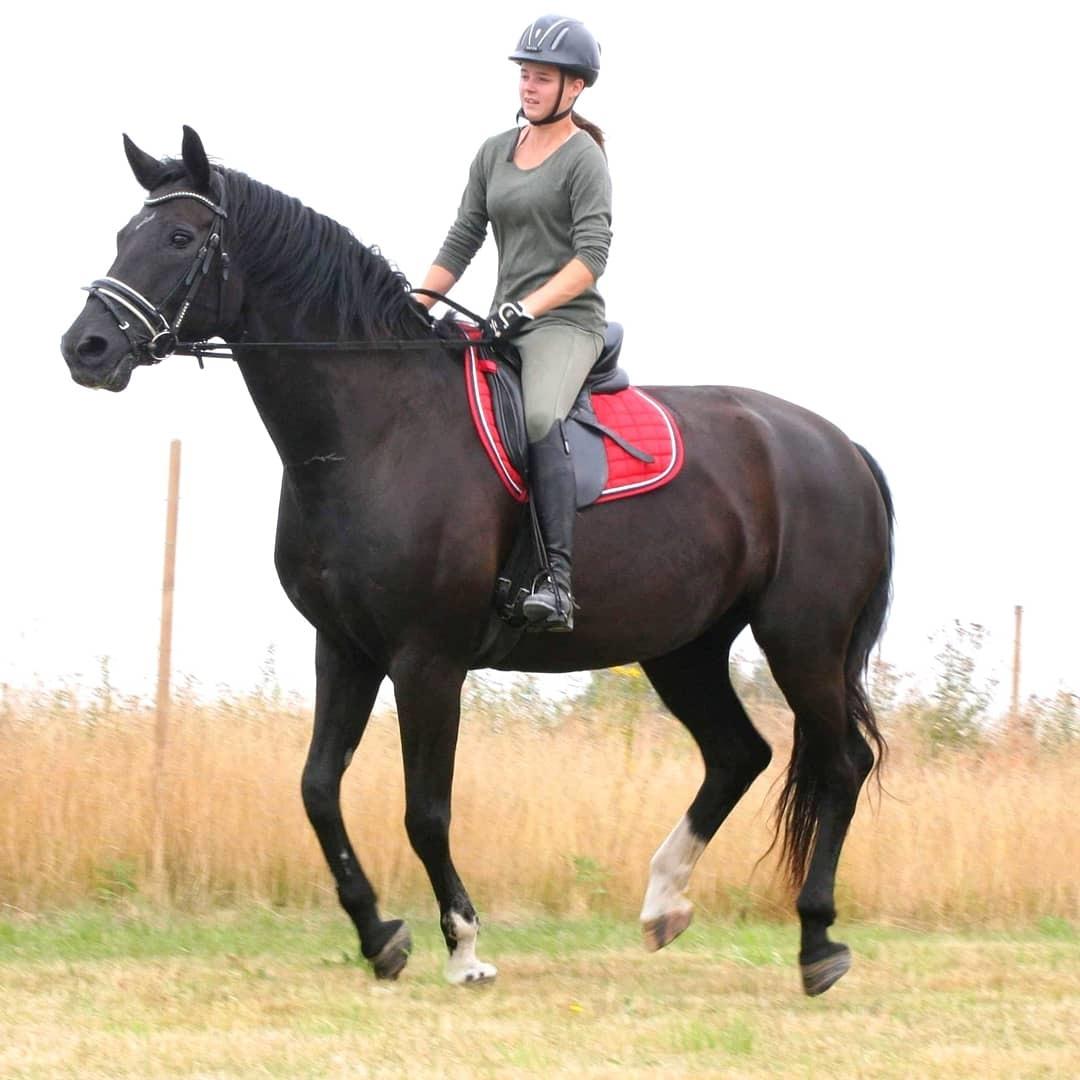 Anden særlig race wanilia billede 4