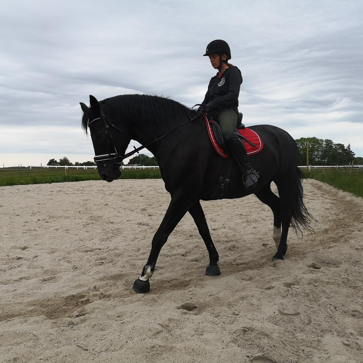 Anden særlig race wanilia billede 6