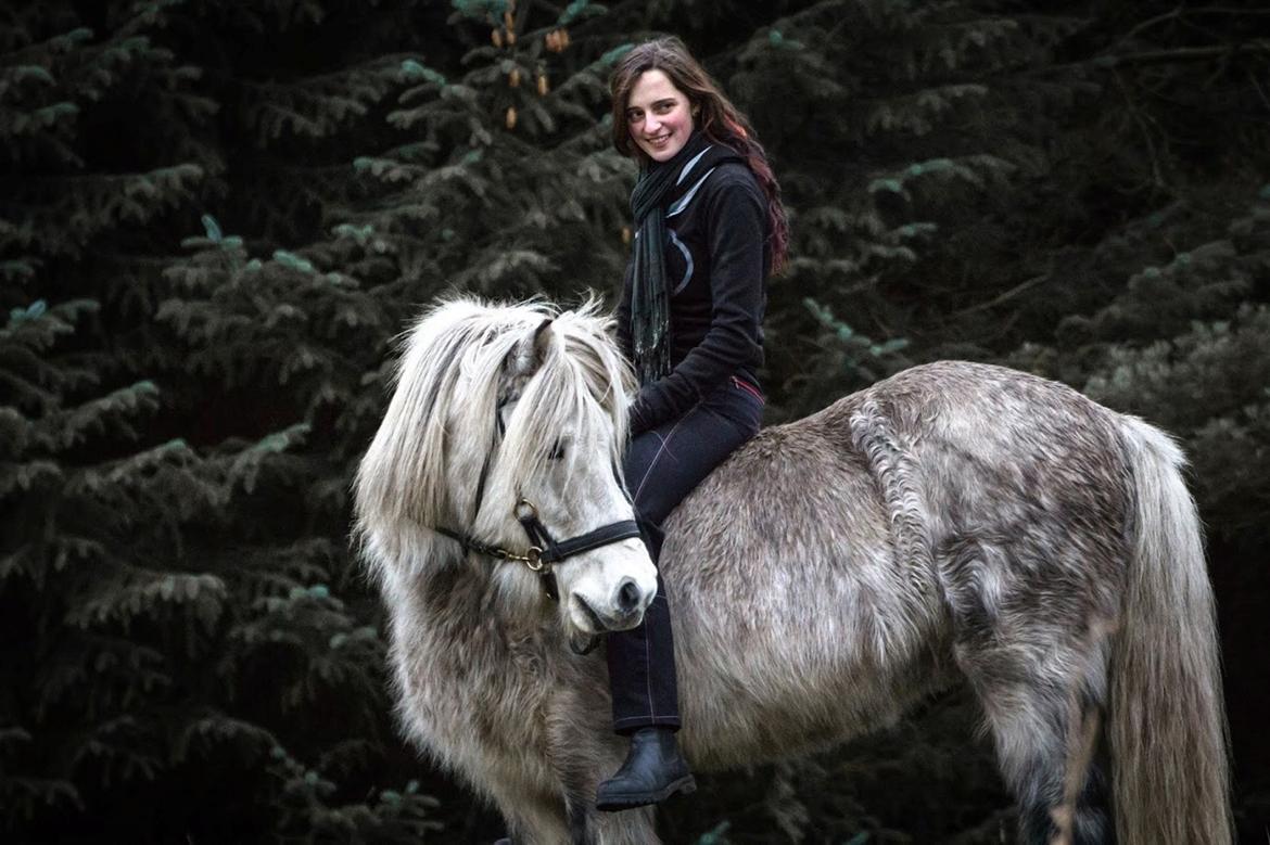 Islænder Löbbi billede 5