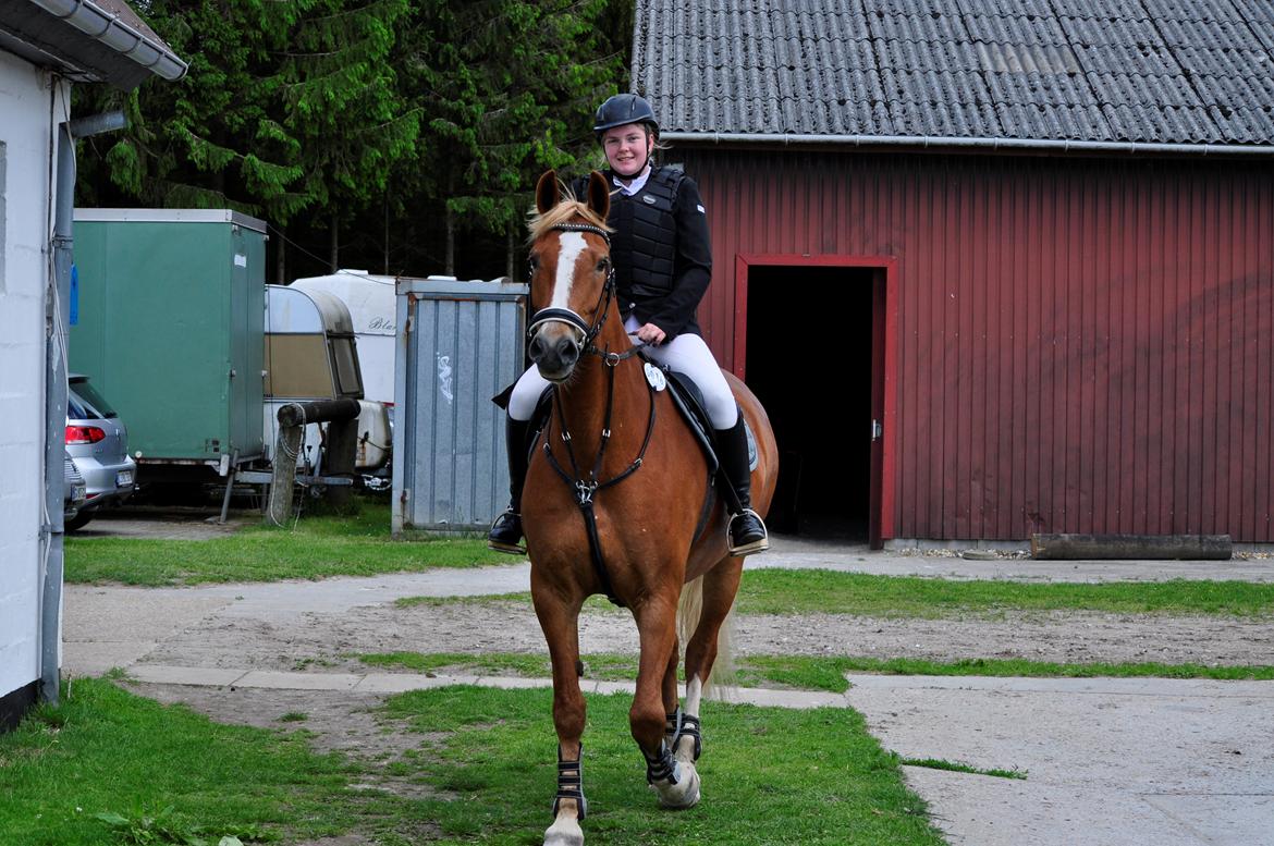 Frederiksborg Vestergårds Natalie billede 15