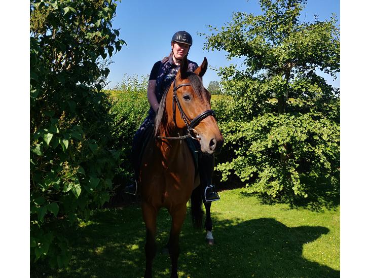 {{currentPhoto.altText}} billede {{currentPhoto.number}}