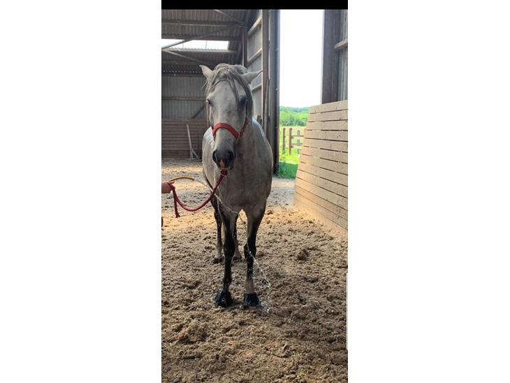 {{currentPhoto.altText}} billede {{currentPhoto.number}}