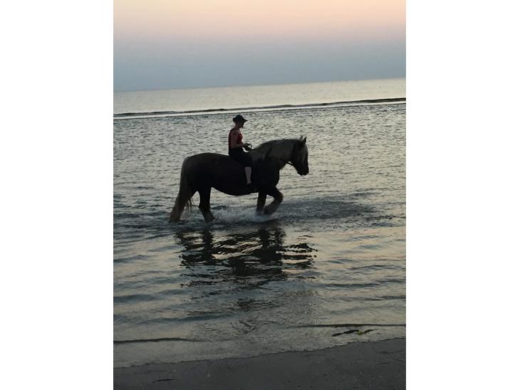 {{currentPhoto.altText}} billede {{currentPhoto.number}}