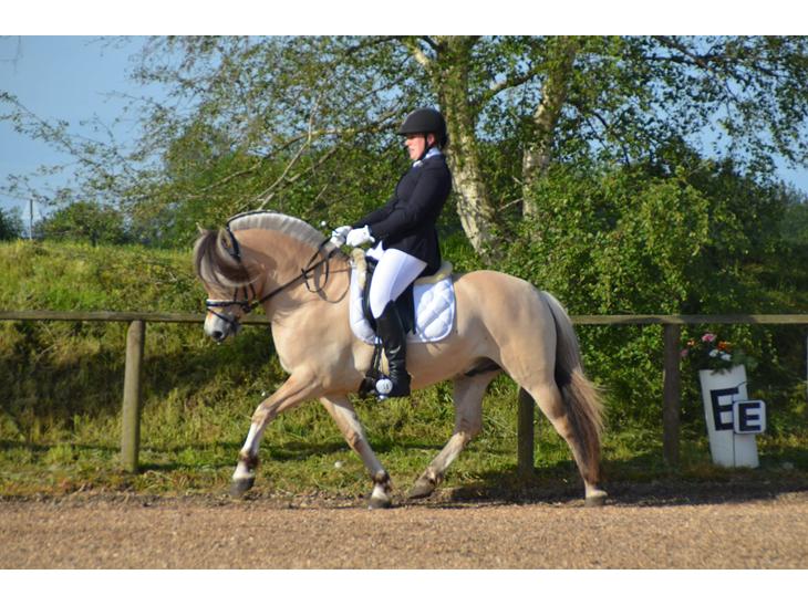 {{currentPhoto.altText}} billede {{currentPhoto.number}}