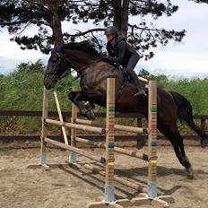 Anden særlig race Califf