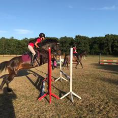 Anden særlig race Lundgaards Mulan