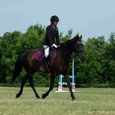 Anden særlig race Lundgaards Mulan