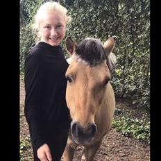 Anden særlig race Melvin