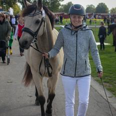 Connemara Klintlys Macoy •AFLIVET•