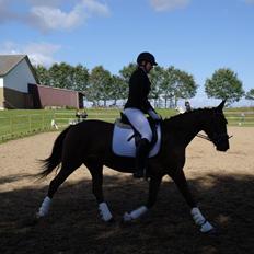 Traver Return Sujaki - Baby