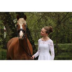 Anden særlig race Antos Bonus