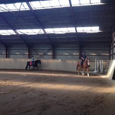 Anden særlig race Mio