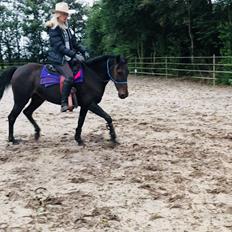 Anden særlig race UN~Kina