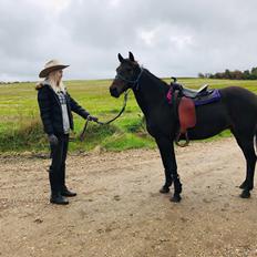 Anden særlig race UN~Kina