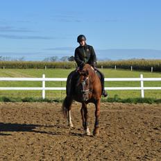 Frederiksborg Vestergårds meleisa