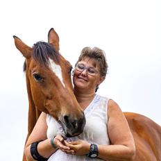 Dansk Varmblod STOREÅENS WELTFLICKA (FLICKA)