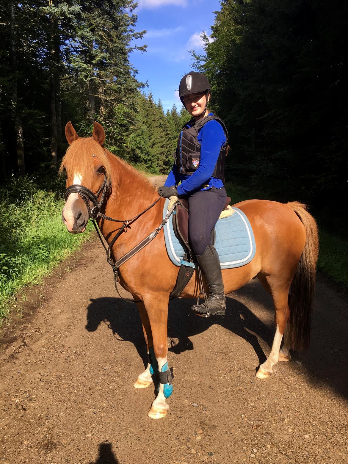 Anden særlig race Fanzo billede 3