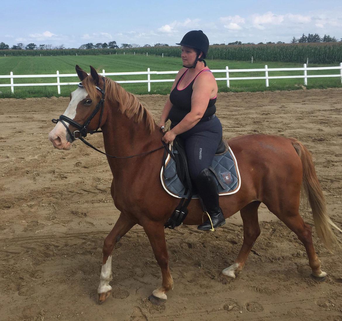 Frederiksborg Vestergårds merci billede 5