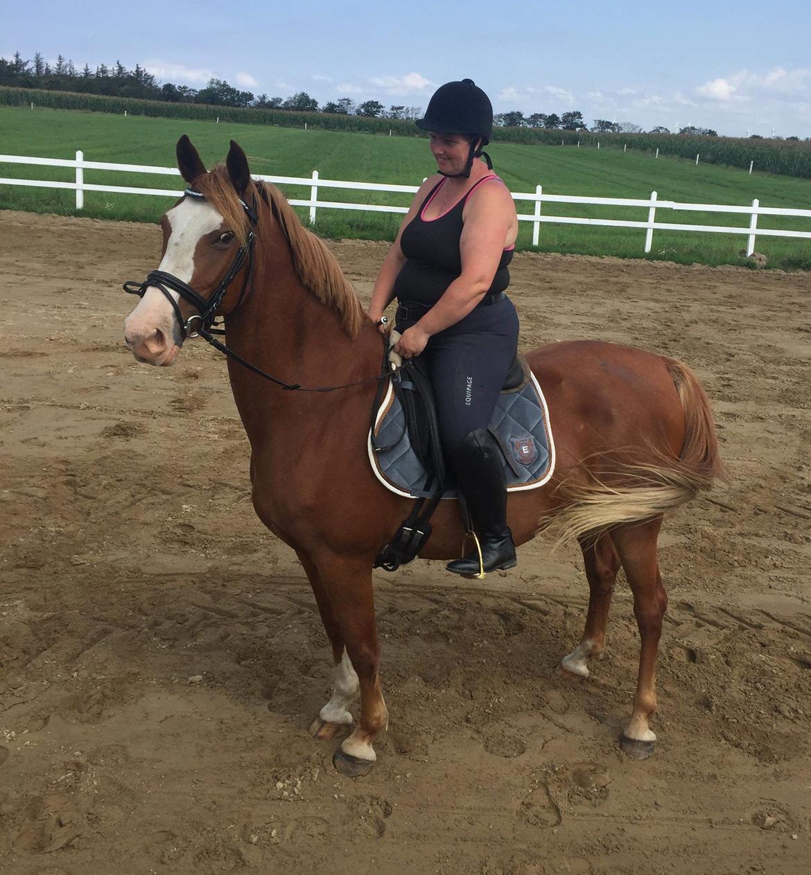 Frederiksborg Vestergårds merci billede 6