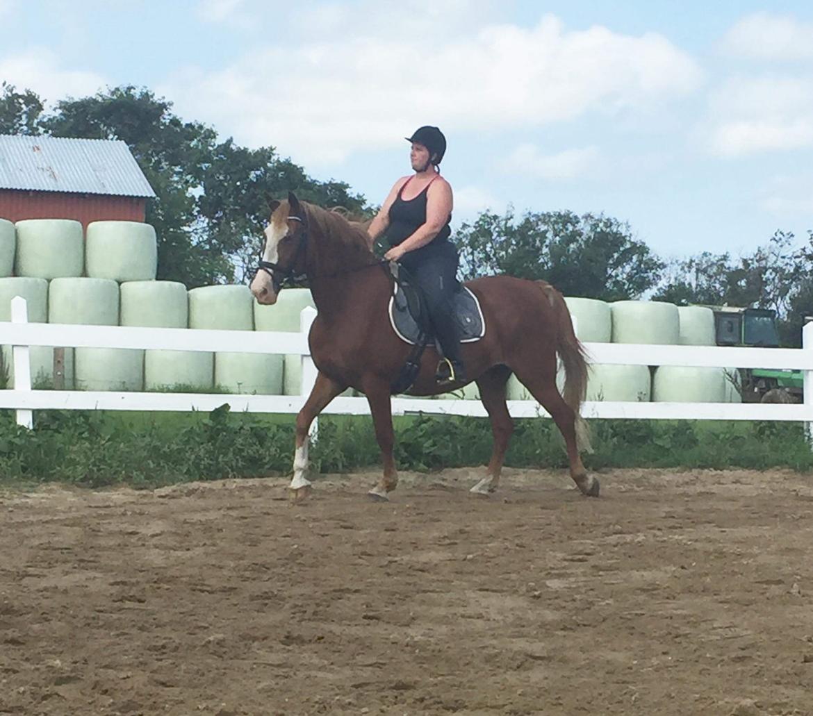 Frederiksborg Vestergårds merci billede 8