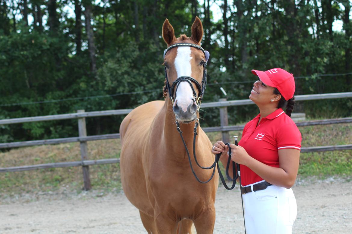 Dansk Varmblod Sakura's Cornelia billede 13