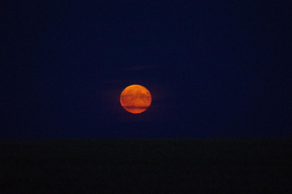 Anden særlig race Lucky Luke  - Månen var fuld og helt rød samme aften som vi sendte ham afsted <3 Jeg synes det må betyde noget, men jeg er også overtroisk. Ja, det er ikke et hestebillede, men lad mig få den her :)  billede 25