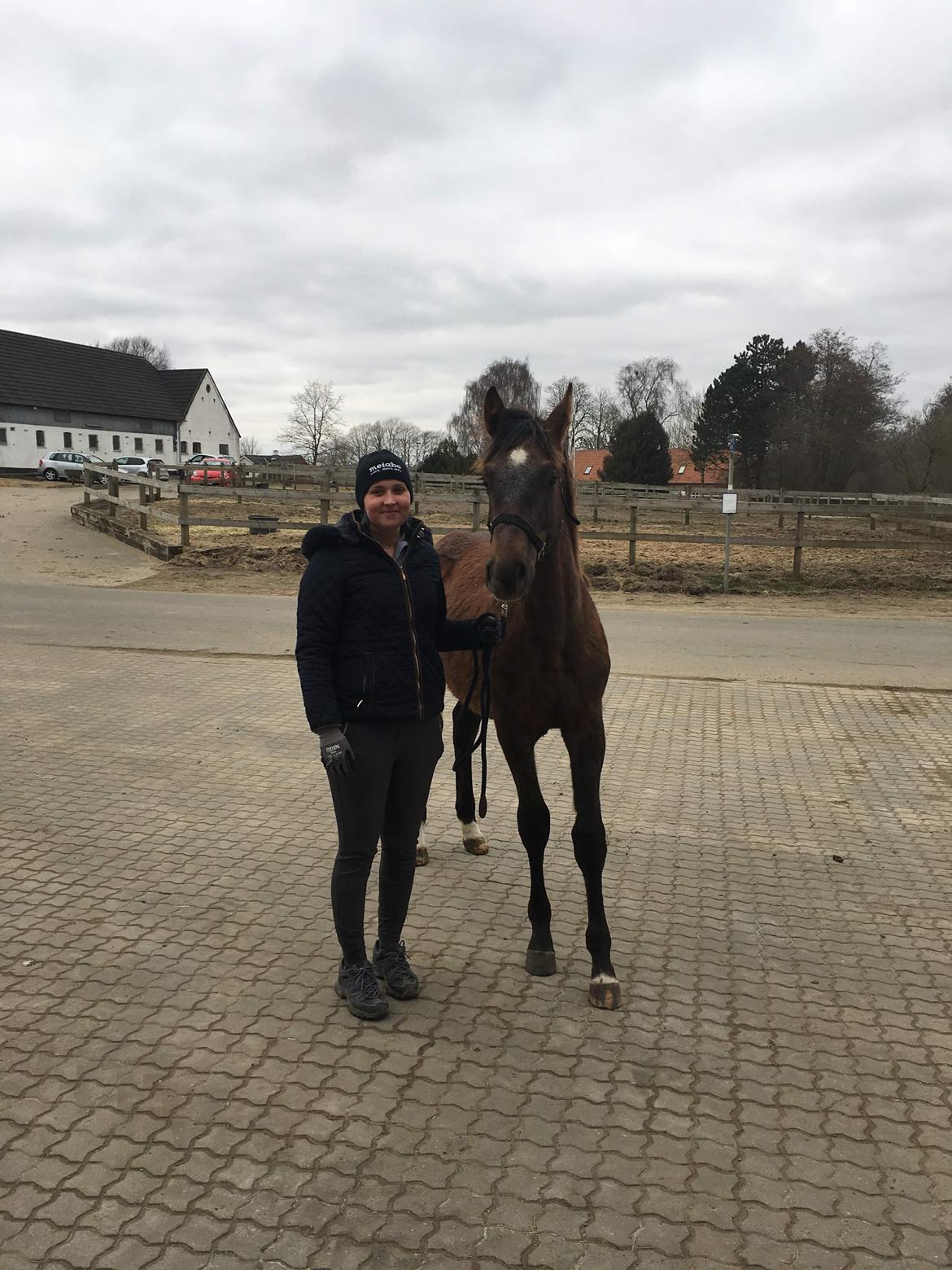 Holstener Chicago's corani ff billede 8