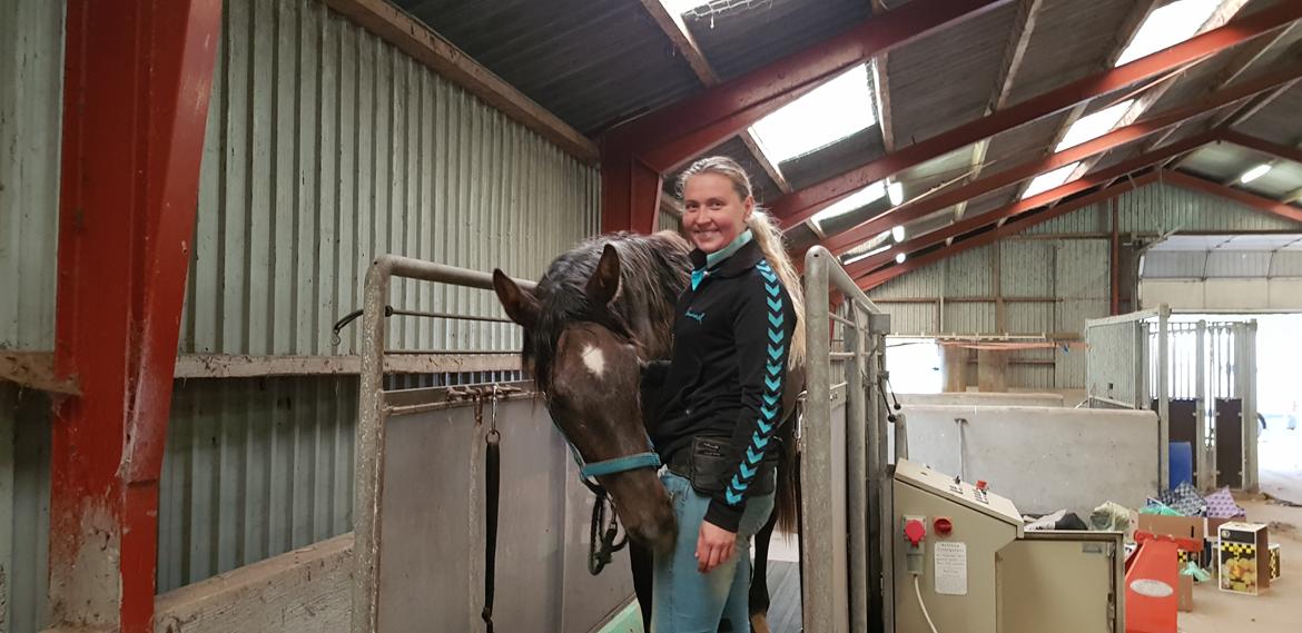 Holstener Chicago's corani ff billede 21