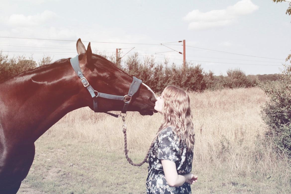 Hannoveraner Kaktusas billede 15