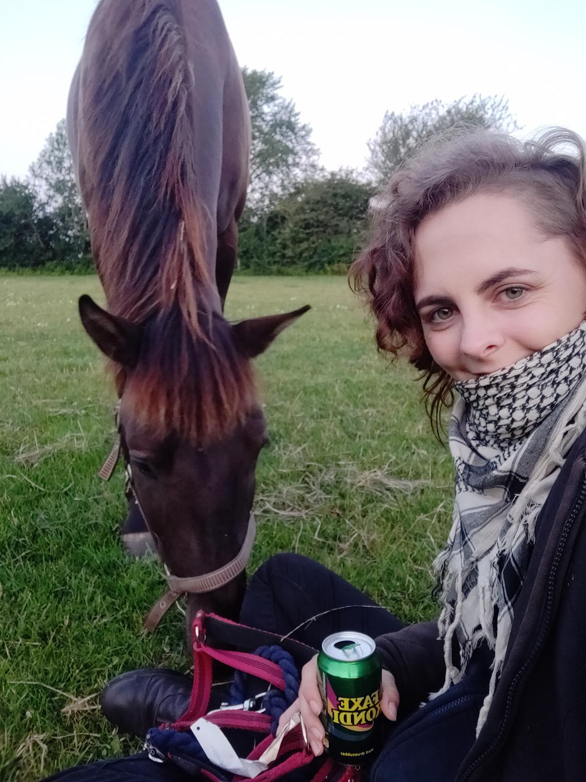 Anden særlig race Amadéo SNG billede 11