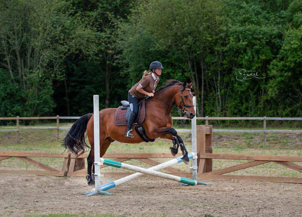 Anden særlig race Mr. Moonwalk | Himmelhest - Indspringnig Photo by Emdal  billede 15