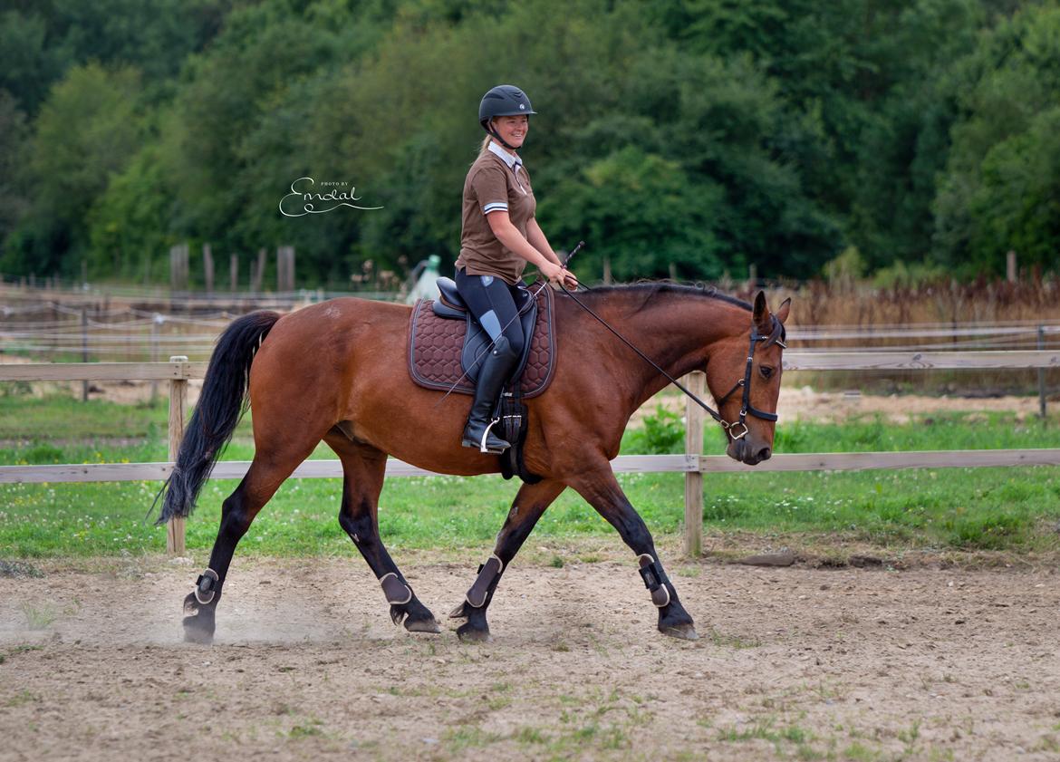 Anden særlig race Mr. Moonwalk | Himmelhest - Glæde og lethed. Photo by Emdal.  billede 10