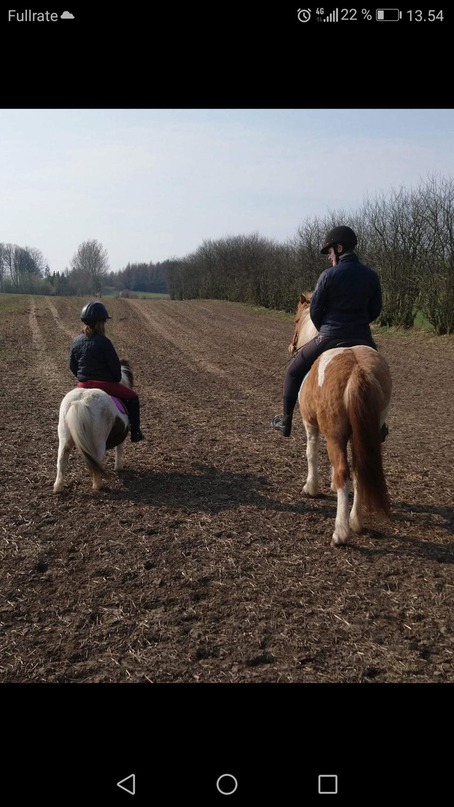 Miniature Pepsi - Store plet og lille plet <3  billede 19