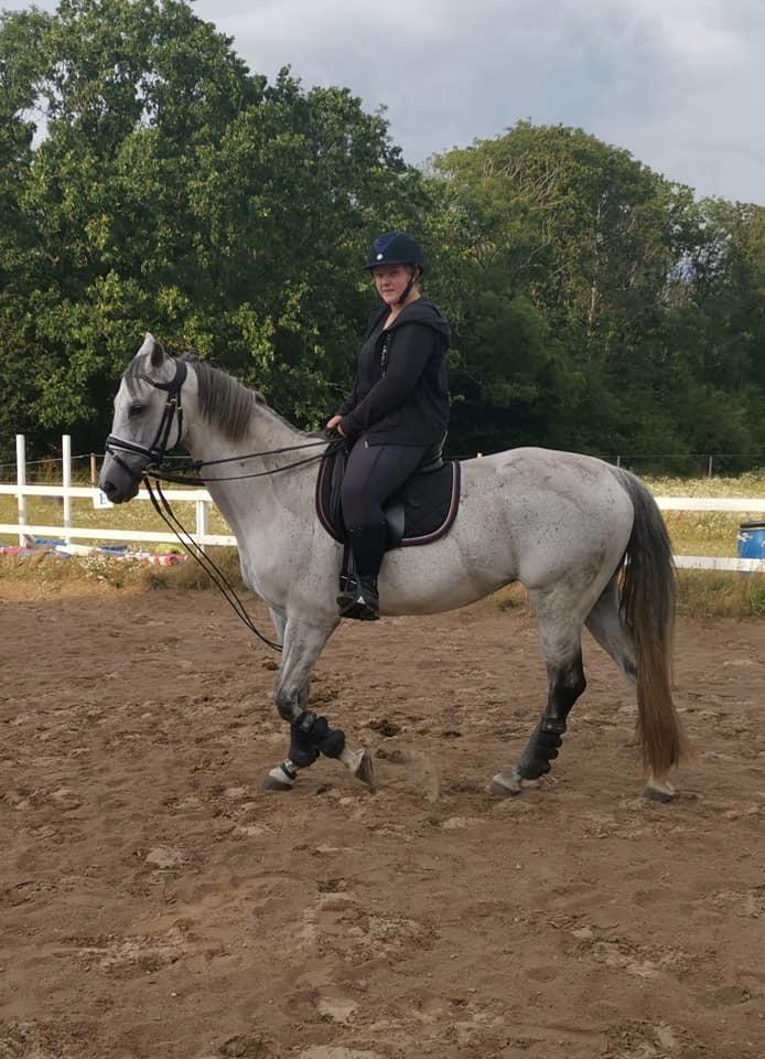 Dansk Varmblod (Miss Dulle) Mille billede 22