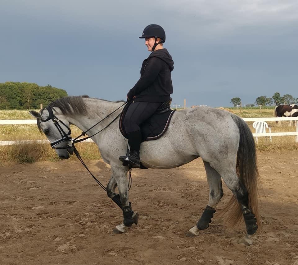 Dansk Varmblod (Miss Dulle) Mille billede 26