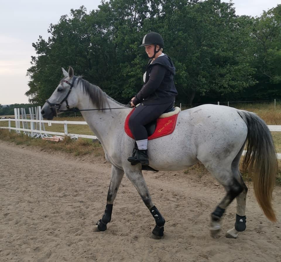 Dansk Varmblod (Miss Dulle) Mille billede 35