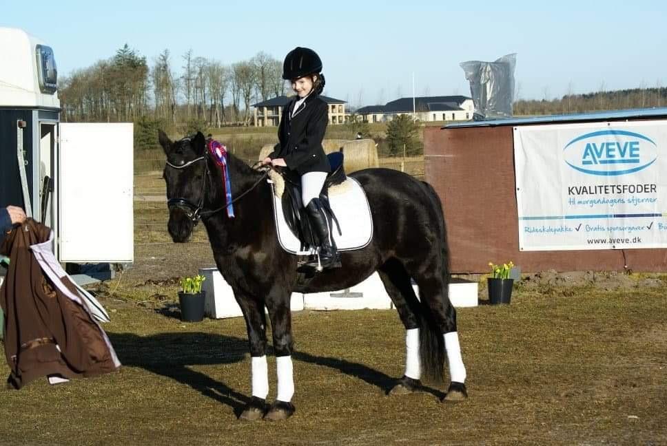 Anden særlig race Roya  billede 4