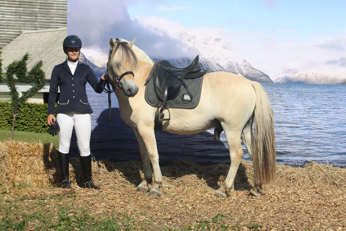 Fjordhest Ørvads lano billede 42