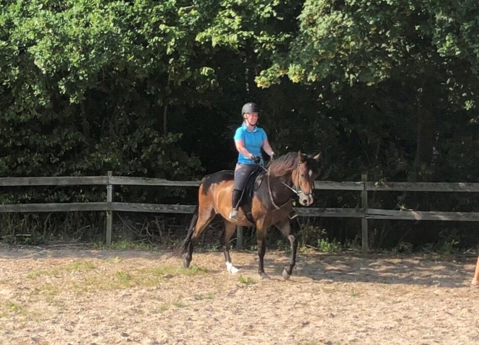 New Forest Bosagergårds Cooper - August 2019 billede 6
