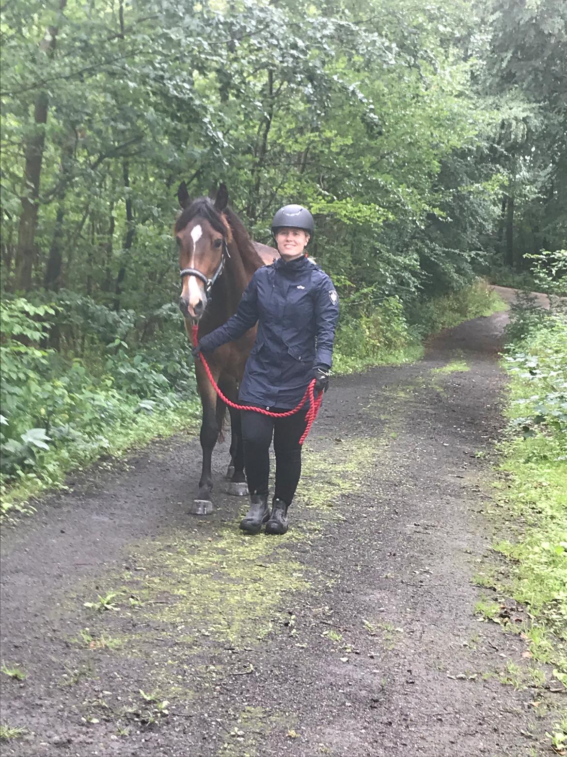 New Forest Bosagergårds Cooper - August 2019 billede 7