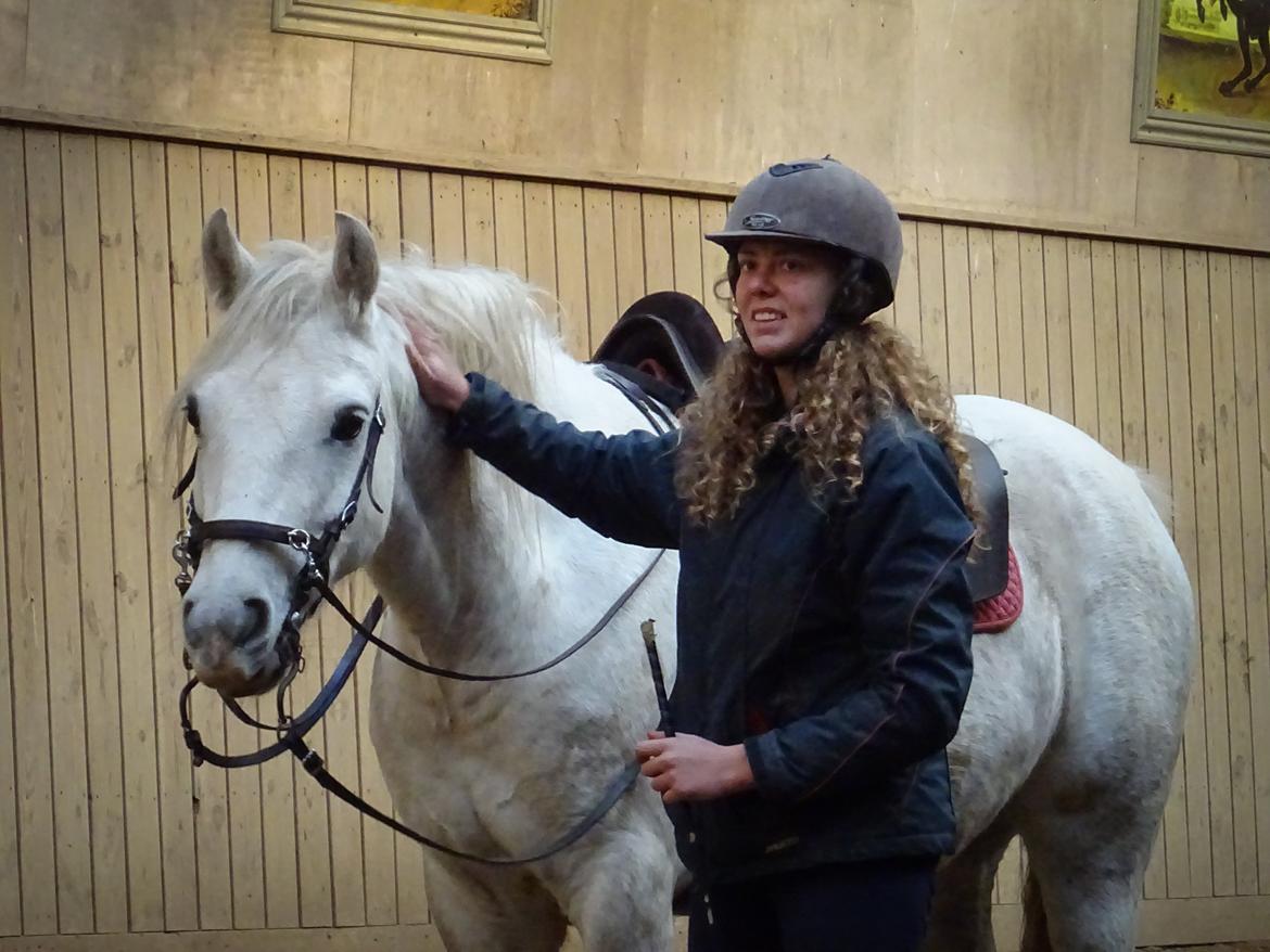 Connemara Dambækgårds Rubbin billede 16