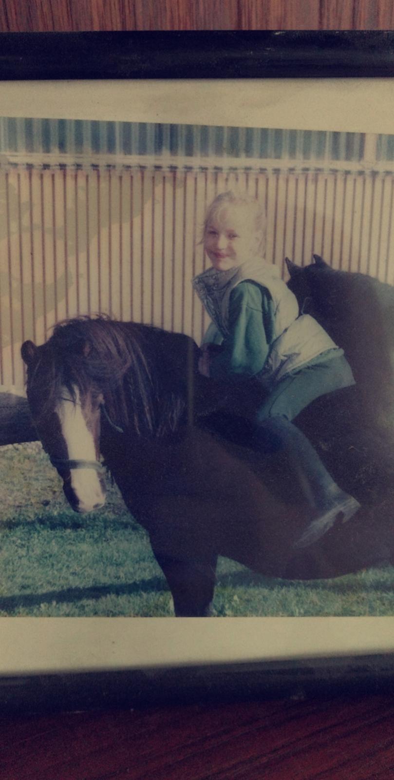 Welsh Mountain (sec A) Mosedalens Kiro-BasseMand - Himmelhest billede 24