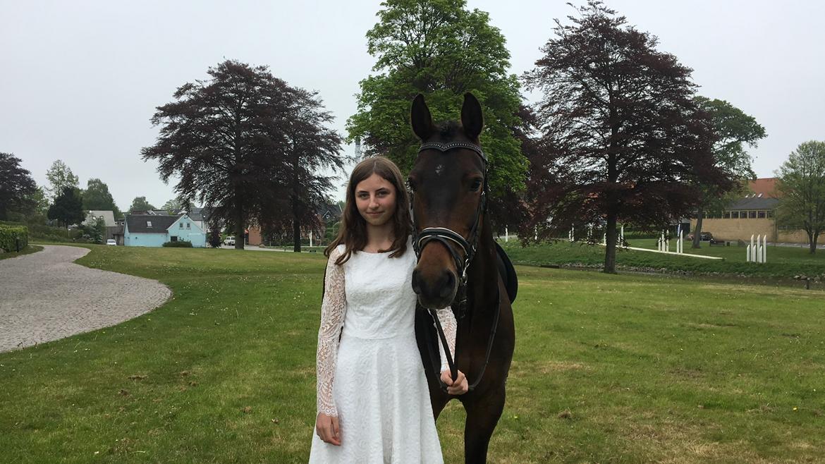 DSP Stidsbjergs Duster billede 2