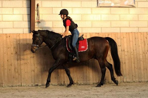 DSP Stidsbjergs Duster billede 8