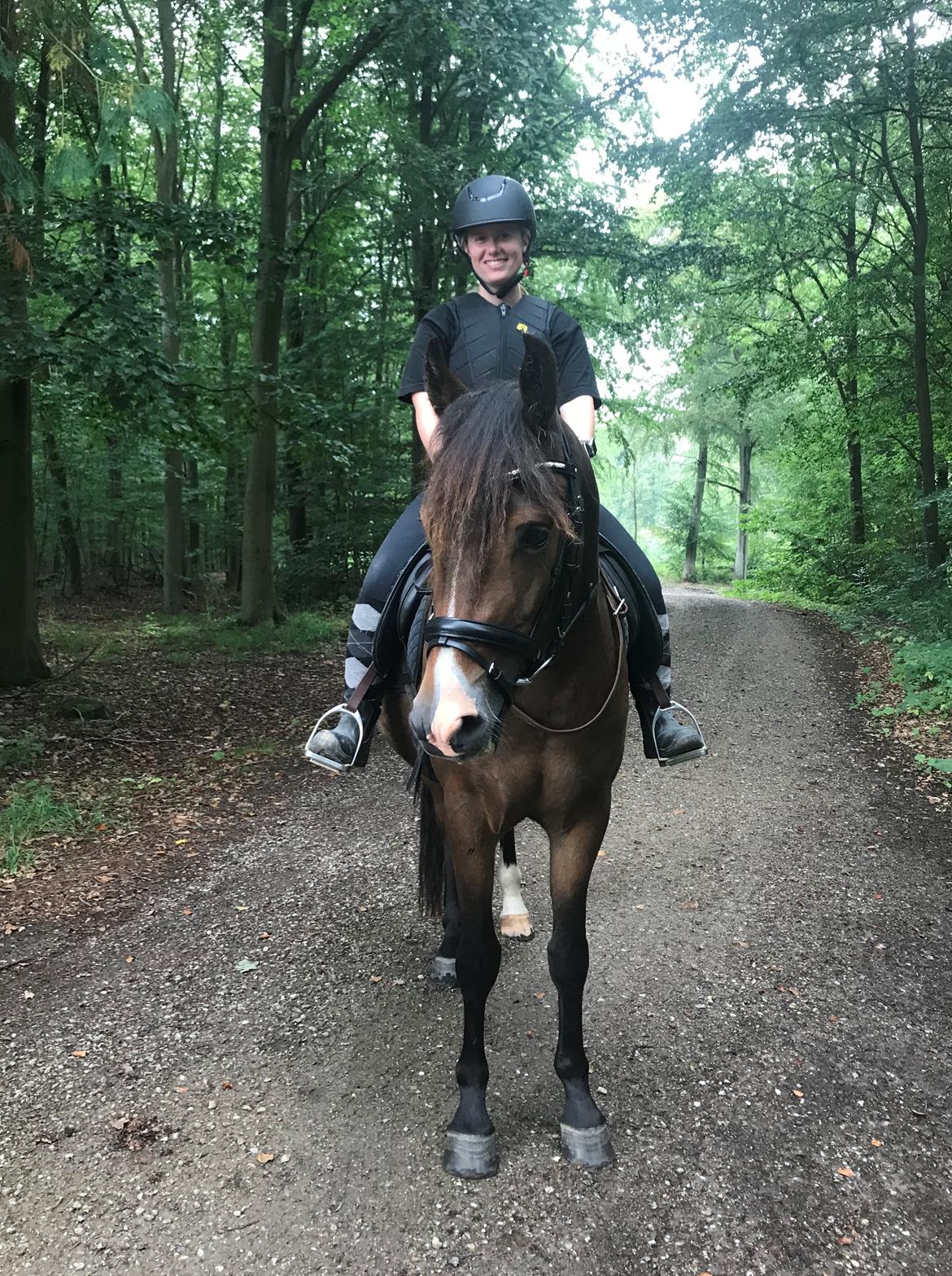 New Forest Bosagergårds Cooper - 1/9: Vores første ridetur i skoven. En rigtig guttermand ❤️ billede 9